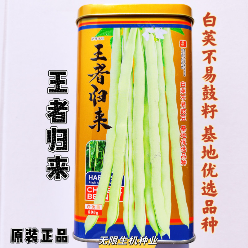 王者归来白荚不易鼓籽基地优选品种架豆芸豆种子豆角种籽春秋播种