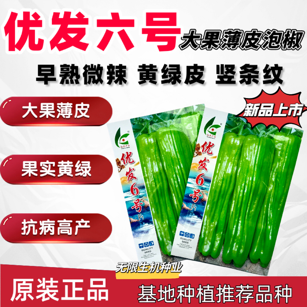 优发6号大果薄皮泡椒种子黄绿色薄皮青椒种籽微辣口感好抗病高产