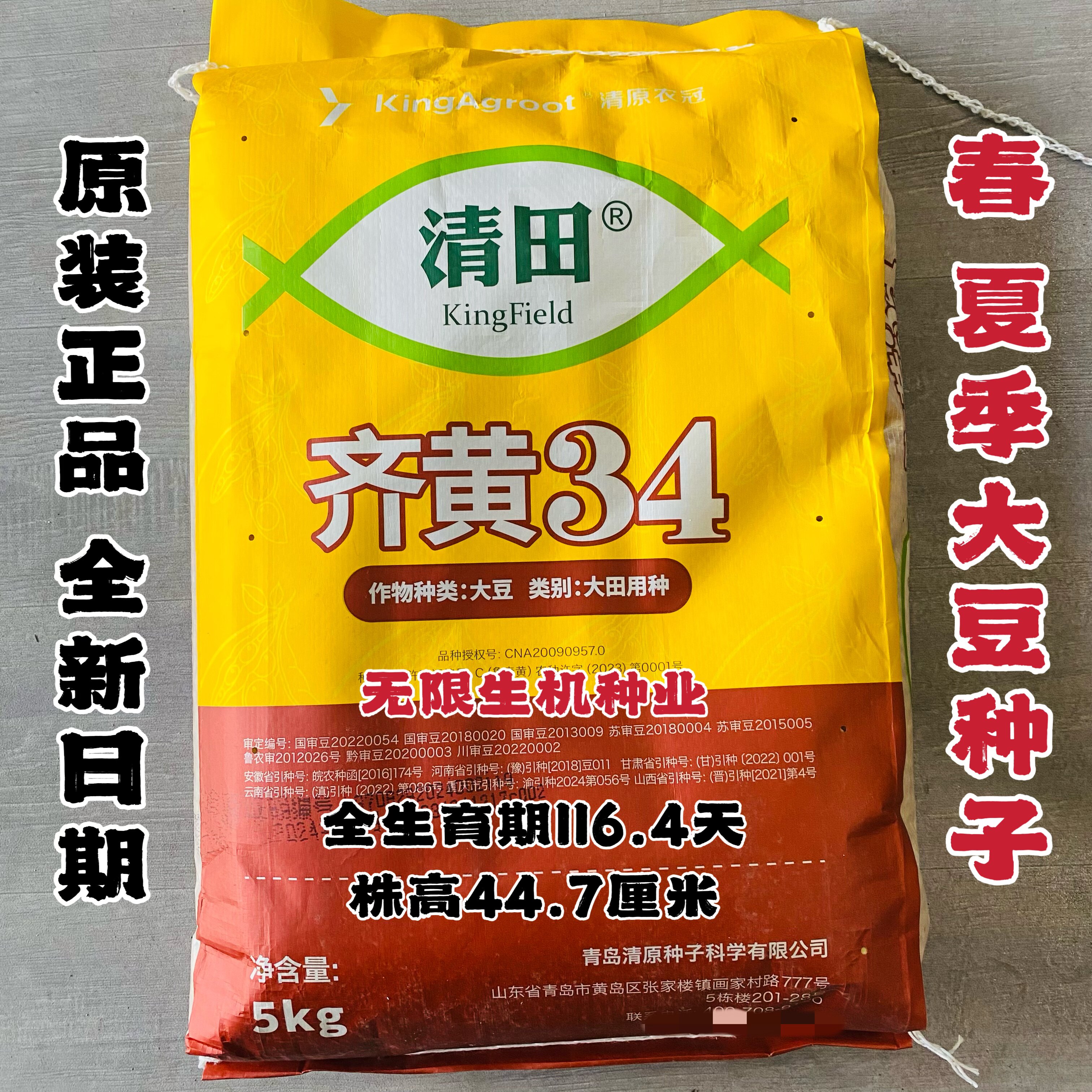 齐黄34黄豆种子原装正品国审高产稳产抗病抗旱耐高温优质大豆种籽