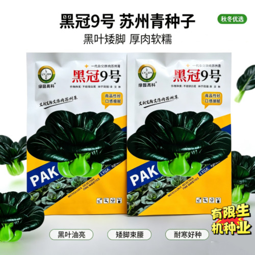 黑冠9号苏州青种子 黑叶矮脚厚肉青梗菜 耐寒软糯秋冬青菜种籽