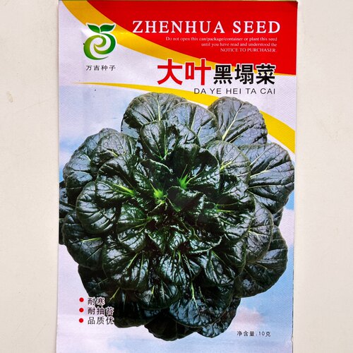 正品乌塌菜种子特耐寒越冬蔬菜种子小八叶菜种籽秋冬菊花菜秋冬季