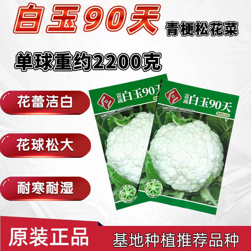 正品 白玉90天青梗松花菜种子小米粒高产早熟抗热青绿花椰菜种籽