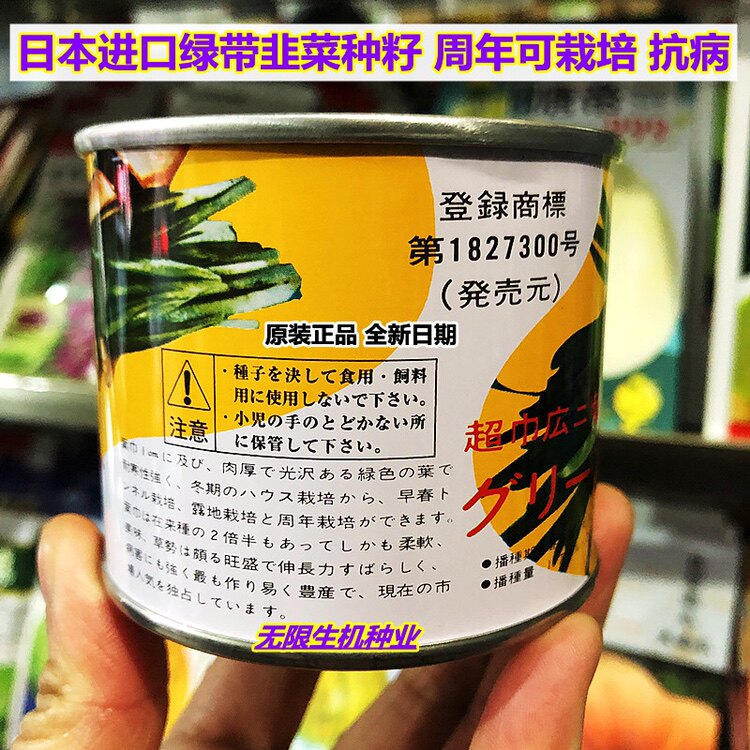 日本进口宽叶韭菜种子超级绿带韭菜种籽分蘖能力强耐寒丰产韭菜籽