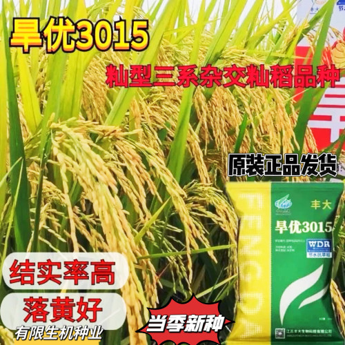 原装3015旱稻种子旱稻种优质杂交生育期111.7天节水抗旱稻谷正品