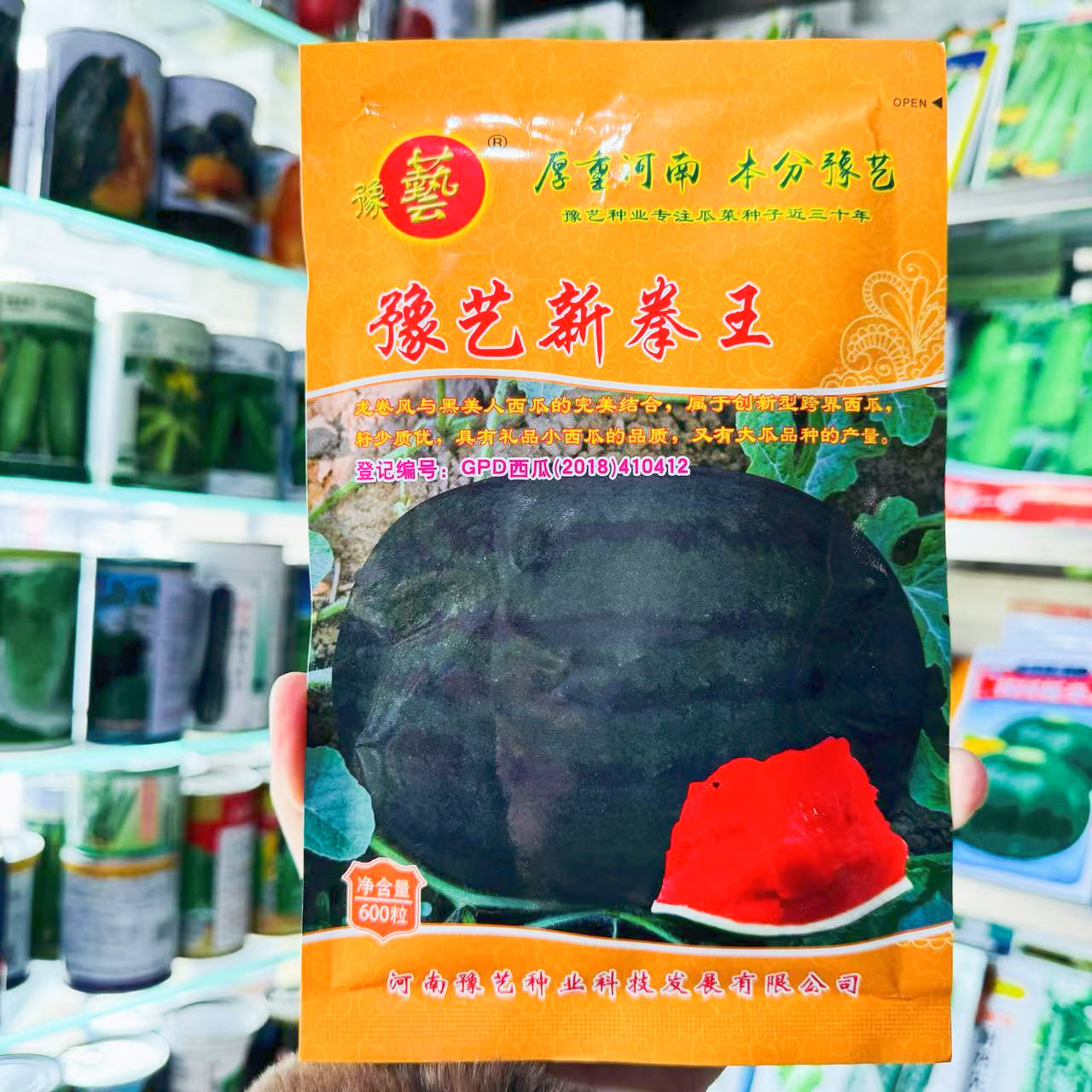 豫艺新拳王西瓜种子龙卷风黑美人大果高产抗重茬黑绿皮西瓜种子籽