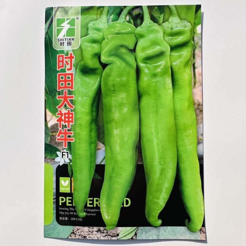 时田大神牛辣椒种子早熟浅黄绿皮粗长牛角椒种籽丰产口感好羊角椒