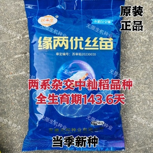 缘两优丝苗水稻种子高产抗病优质好吃长粒中籼稻种籽一季杂交稻种