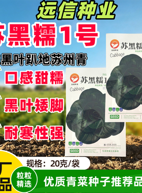 苏黑糯1号杂交趴地苏州青种子原装墨绿色口感甜糯耐寒黑叶油亮