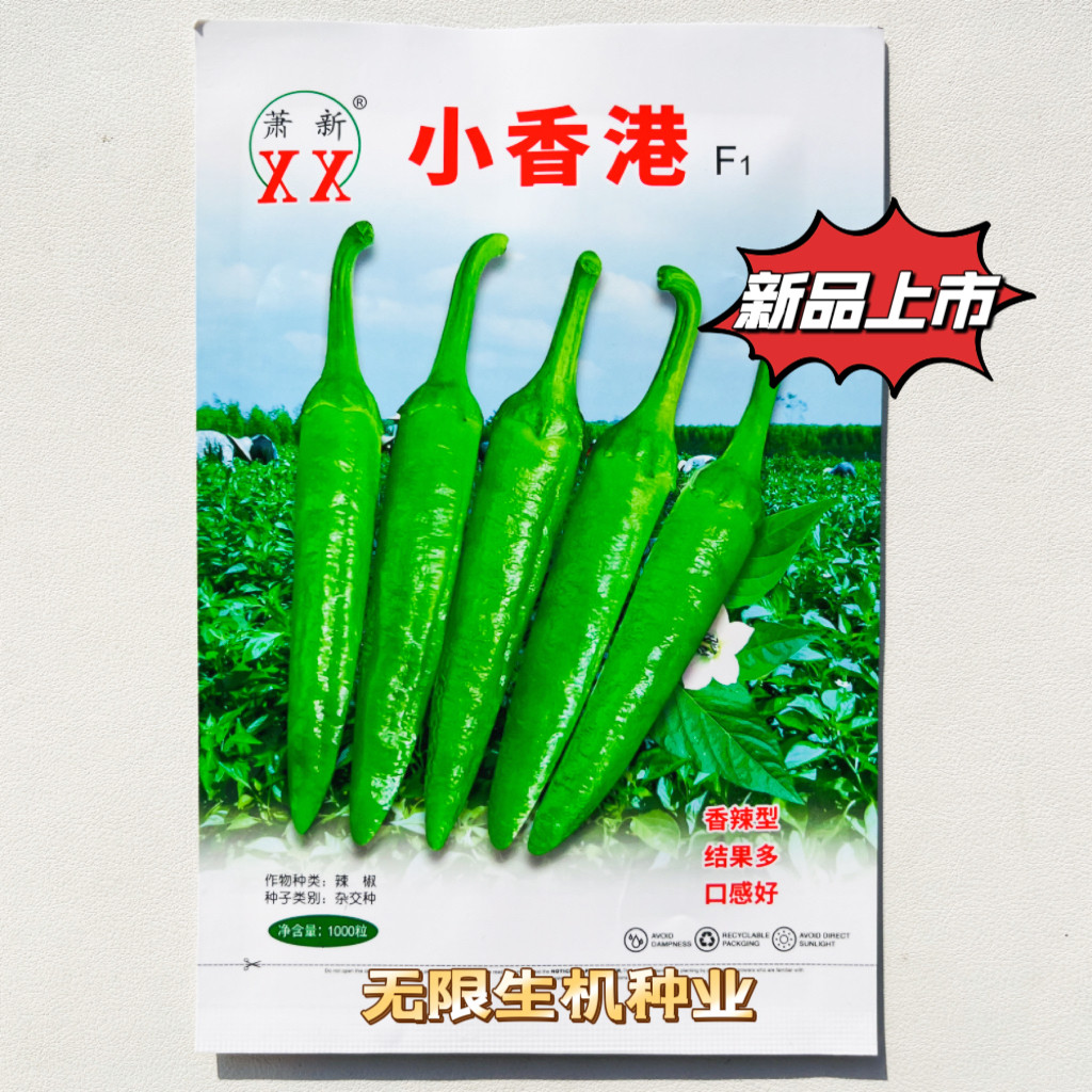 萧新小香港辣椒种子尖椒翠绿色微皱皮薄香脆肉质软糯樟树港椒种籽