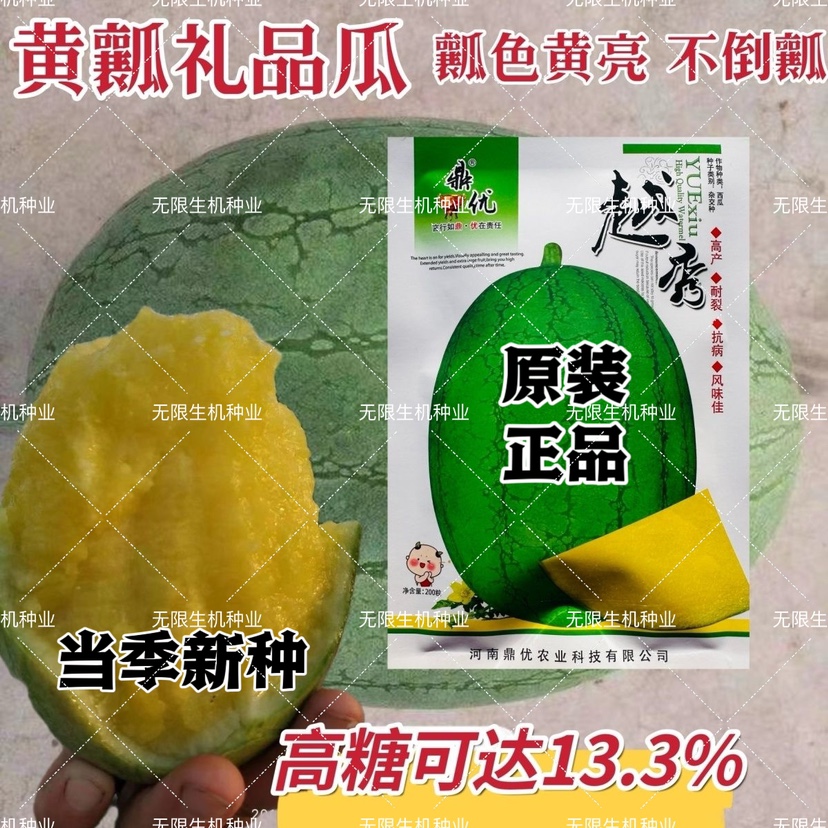 鼎优越秀西瓜种子嫩绿皮黄瓤礼品西瓜种籽糖度高黄心礼品瓜种耐裂