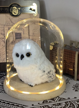 海德薇玻璃罩适用哈利波特环球影城猫头鹰信使玩偶收纳防尘展示盒