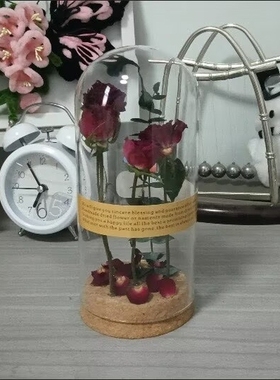 干花摆件成品永生真花玻璃罩植物标本情人圣诞母亲节生日创意礼物