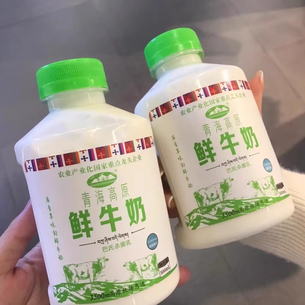 青海湖青藏高原鲜牛奶巴氏杀菌乳儿童营养低温早餐奶500ml\瓶学生 咖啡/麦片/冲饮 青少年牛奶 原图主图