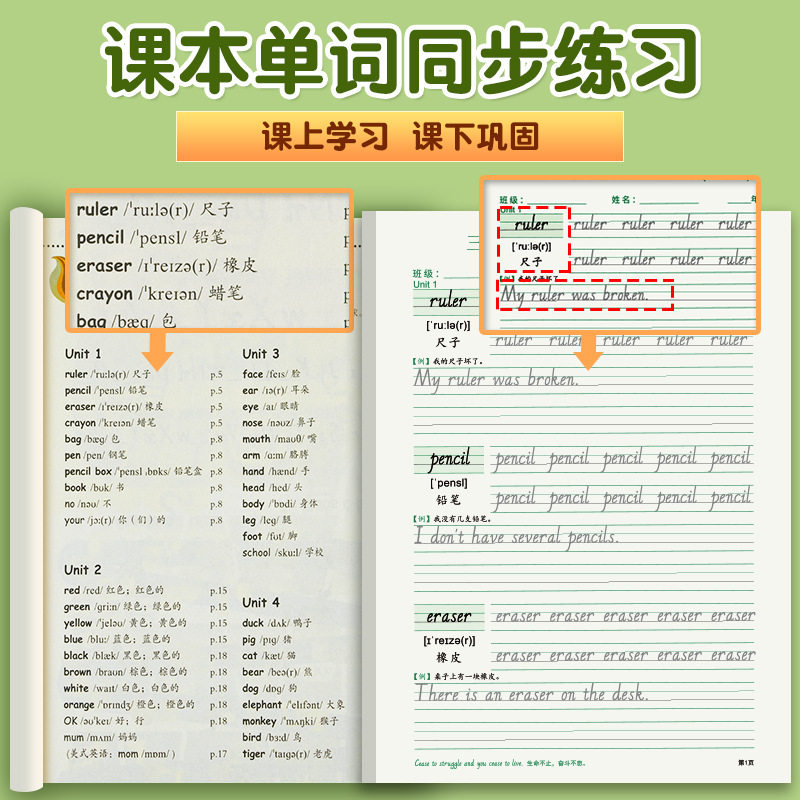 3학년을 위한 헝수이 영어 1권과 2권은 초등학생 4 5 6학년을 위한 하드펜화 붉은 서예 연습서와 동기화되어 있습니다