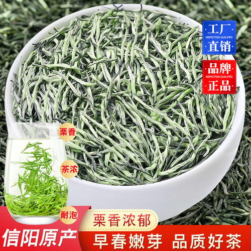 毛尖茶信阳绿茶2026新茶叶明前春茶浓香型云雾特级高山嫩芽自己喝
