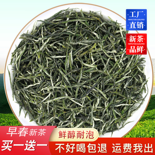 【买一送一】高山毛尖绿茶口粮新茶正品浓香型茶叶散装云雾炒青茶