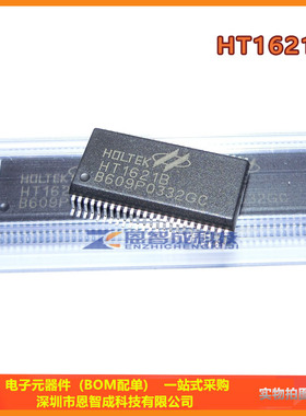 全新 HT1621B SSOP-48 RAM映射 LCD驱动器 液晶芯片