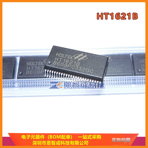 HT1621BSSOP-48液晶芯片