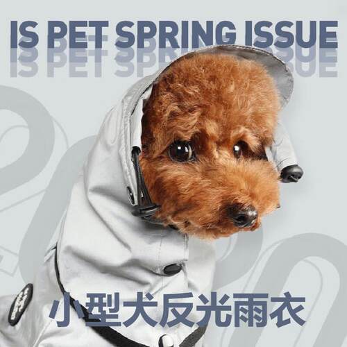 ISPET宠物狗狗反光衣服夜间遛狗酷炫装泰迪柴犬雨衣小中型犬用 灰