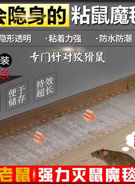 萱诗贝老鼠贴粘鼠板大号灭鼠魔毯捕鼠神器黏鼠胶蟑螂虫子 4片装透