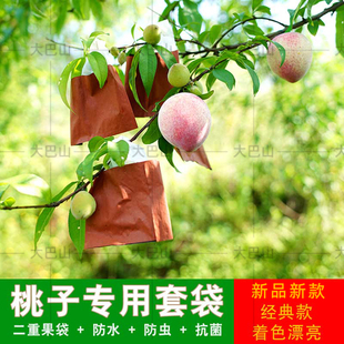 双层桃子专用套果袋内黄黑水蜜蟠黄毛桃纸日本二重白袋26新款包邮
