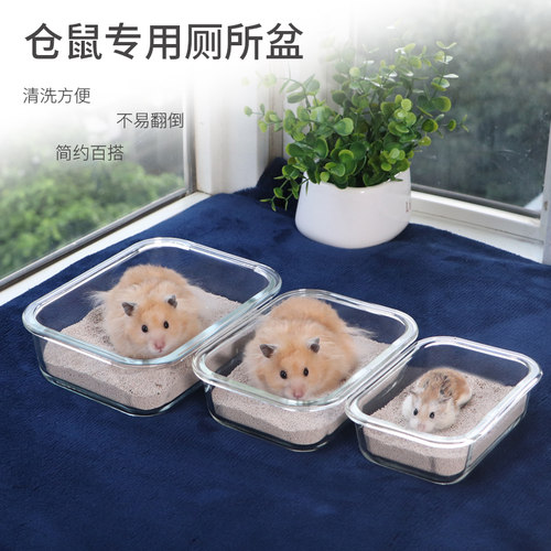 防咬玻璃盆小宠物套餐用品厕所