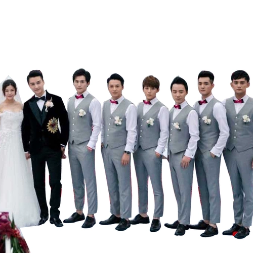 Brother, жилет, комплект, рубашка, весенняя галстук-бабочка, костюм, 2023, 3 предмета