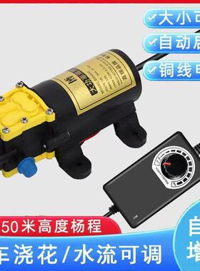 电动抽水器家用电220V12V抽酒泵小型车载抽油神器自吸白酒吸酒器