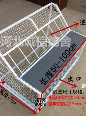 跳笼赛鸽用具进口只进不出放飞笼
