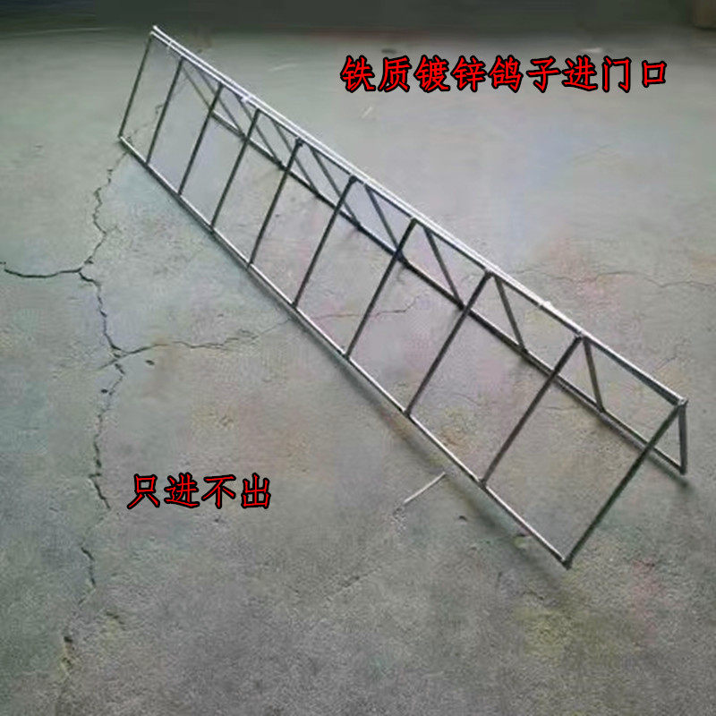 跳笼口鸽子进口门天落笼家用棚收鸽进笼口自动门进门欧式跳笼赛鸽