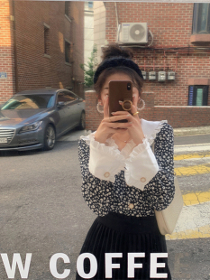 港味v领雪纺上衣 女设计感小众2025年春季 法式 复古娃娃领碎花衬衫