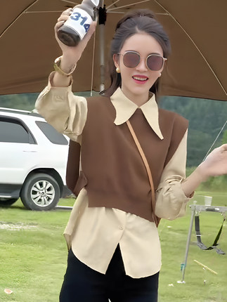 秋季polo领针织拼接假两件衬衫秋装女2024年新款时尚洋气长袖上衣
