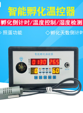 ZFX-W9002多功能孵化器