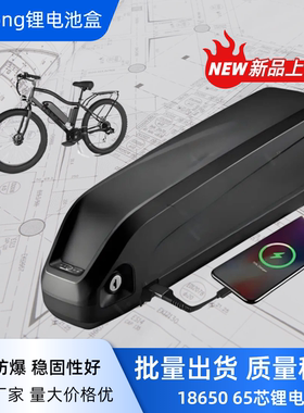 电动车锂电池48v12AH改装助力车出口海龙款电池盒 2型款36伏电瓶