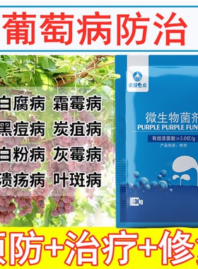 葡萄炭疽专用药防治锈病白腐病灰霉卷叶病菌立清微生物菌剂病
