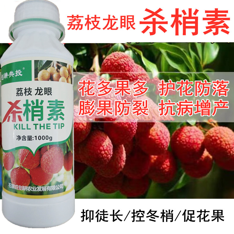 荔枝短花丰产素控梢促花素控旺抑芽素抑制冬梢杀梢素荔枝树专用肥