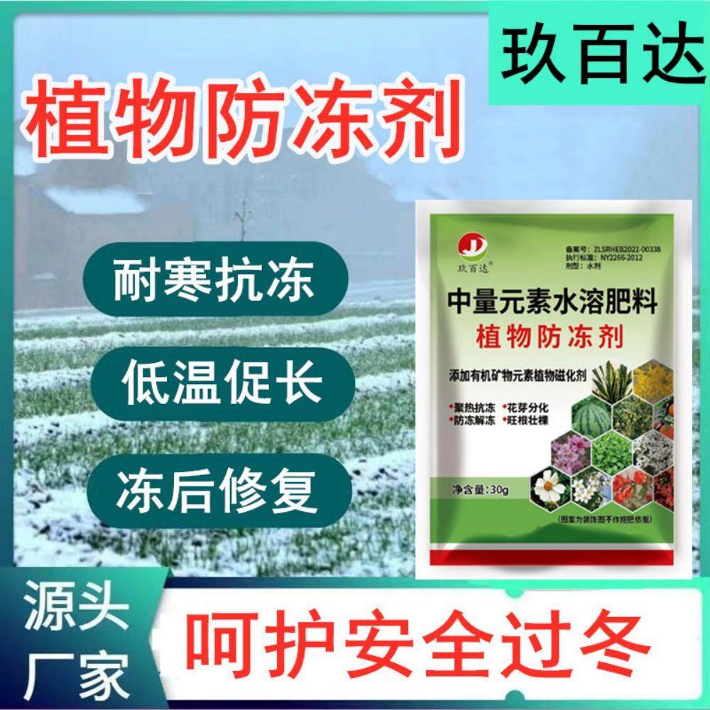 果树防冻剂大葱抗寒抗冻液蔬菜花卉苗木园林大棚通用型植物防冻液
