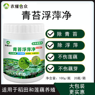 青苔浮萍净 水稻田莲藕塘专用药除藻剂福寿螺水蜗牛不伤芽 藕蛆灵