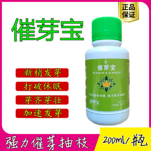 果树催芽苗木移栽花卉分裂素樱桃催芽剂发枝素快生长新芽抽芽宝速