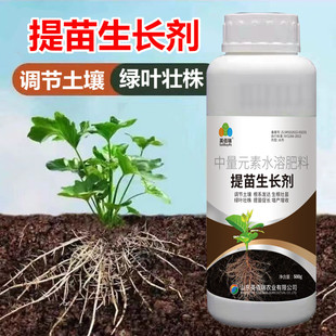 提苗暴长剂水溶肥壮苗肥根系发达快生长剂松土壤专用肥返青增产速