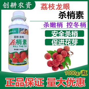 荔枝龙眼专用控梢促花素杀梢素果树杀东梢短花丰产素增产药膨大剂