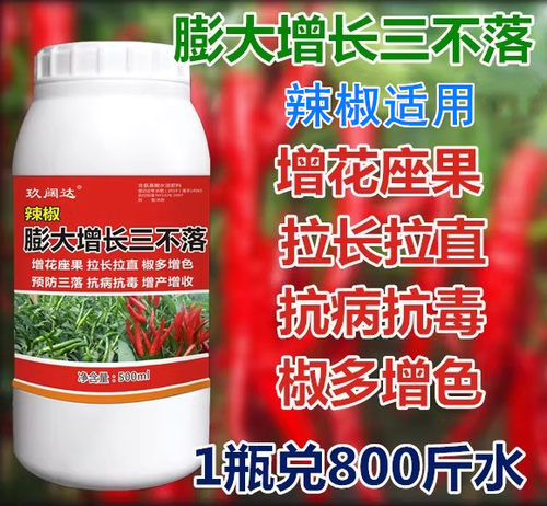辣椒拉直膨大素专用肥料三不落