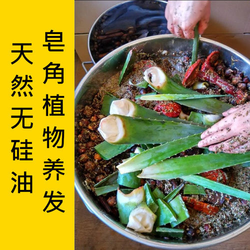 皂香来天然无硅油皂角中草植物洗发水去屑止痒控油去油