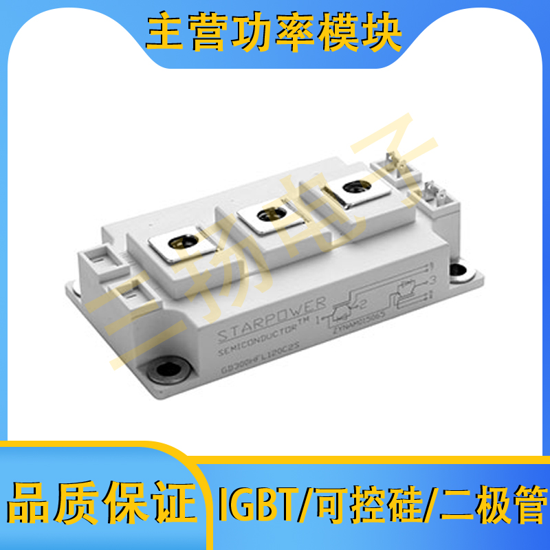 IGBT模块GD600/400/300/200/150/100 CUX/CUY 65/120C2S拍前询