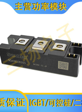 可控硅SCE/SCA200/160DB160/80拍前询