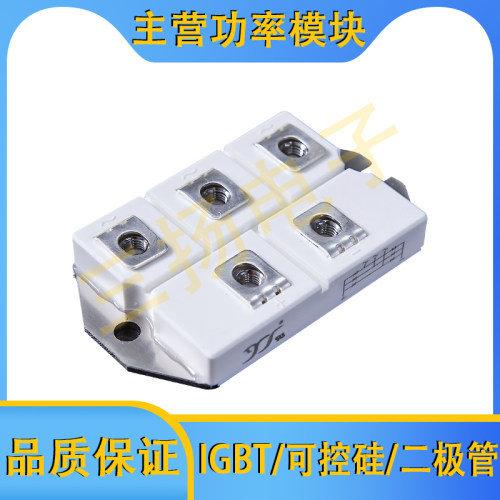 整流模块MD250/200/160/130/100S18/16/12/08M5拍前询