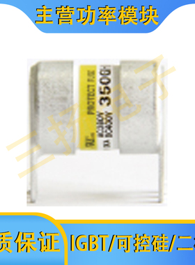 保险丝750/350GHK100/080/050拍前询