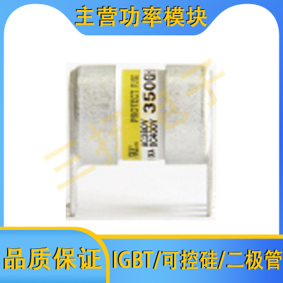 保险丝750/350GHK100/080/050拍前询