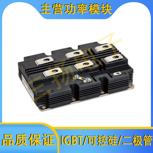 IGBT模块TIM1500A2SM45 TIM1000A2SM65拍前询
