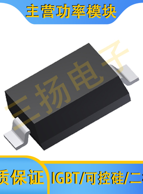 肖特基二极管EP10/05QY/HY/Q/H10/06/04/03L拍前询